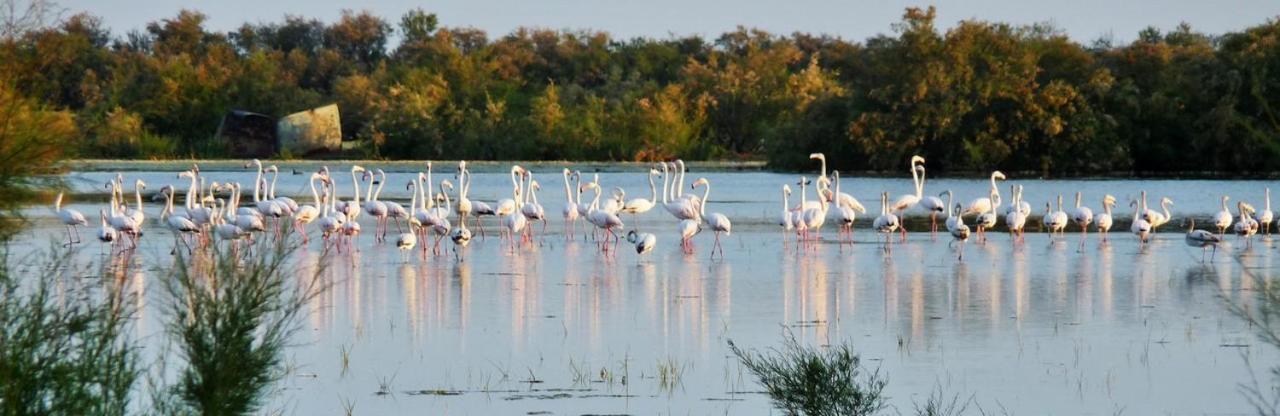 Un Coin De Campagne A 4Km De La Mer Pour 4 A 6 Personnes بورتيراني المظهر الخارجي الصورة